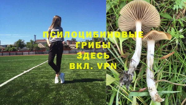 марихуана Алексеевка