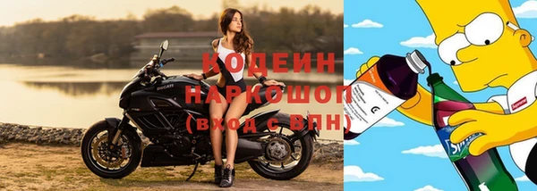 соль ск Алзамай