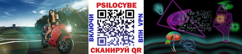 магазин продажи   Дыгулыбгей  Галлюциногенные грибы мухоморы 